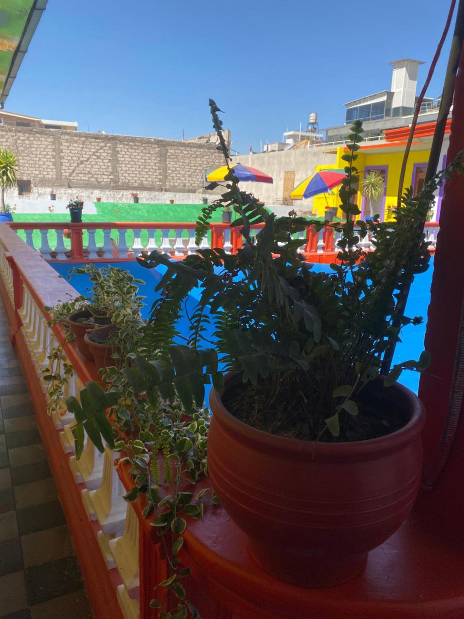 Pusary Hostel Арекуипа Екстериор снимка